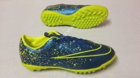 Nike Galaxy xanh dương (fake)